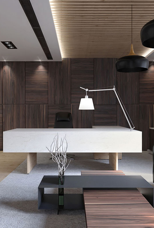 Office interior Designs